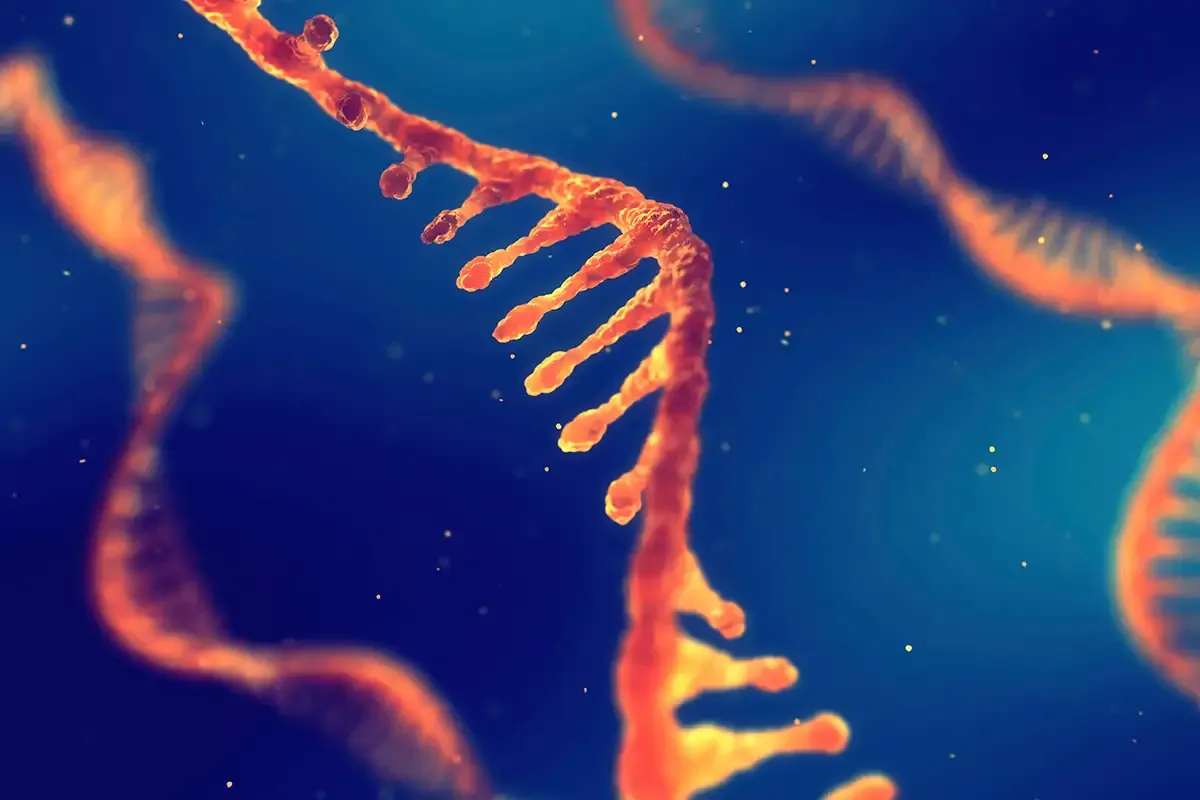Hero image for O Design Experimental de RNA-Seq
